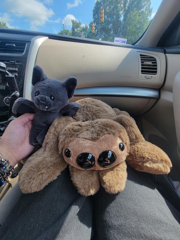 Review by Natasha K.