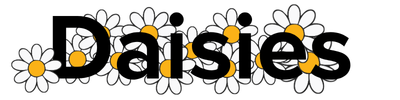 Daisies